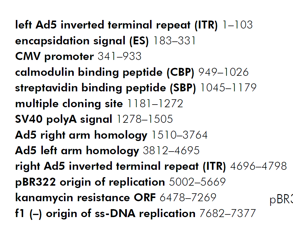 pNTAP-Shuttle-B 载体特征